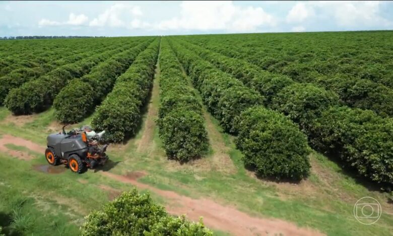 Agronegócio bate recorde de empregos no Brasil com crescimento de vagas fora do campo — Foto: Jornal Nacional